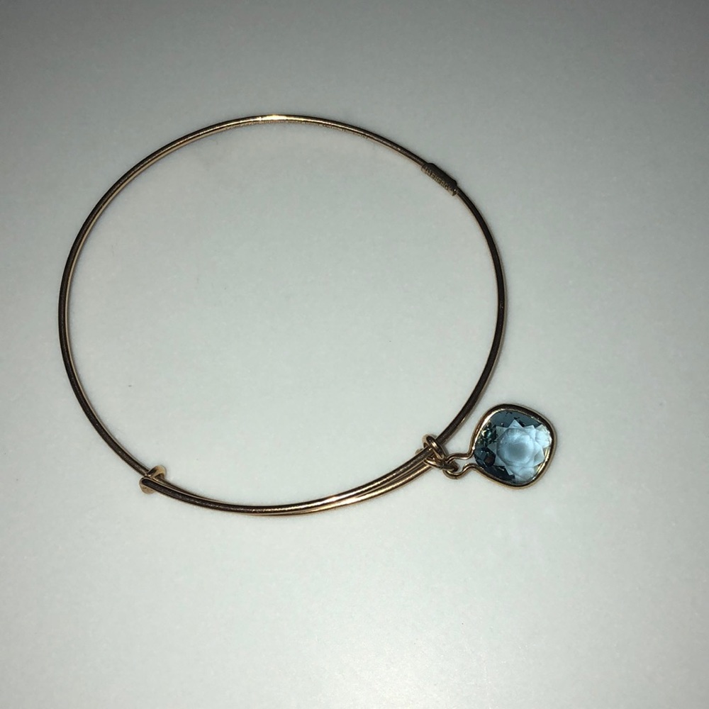 alex and ani bracelet with stone